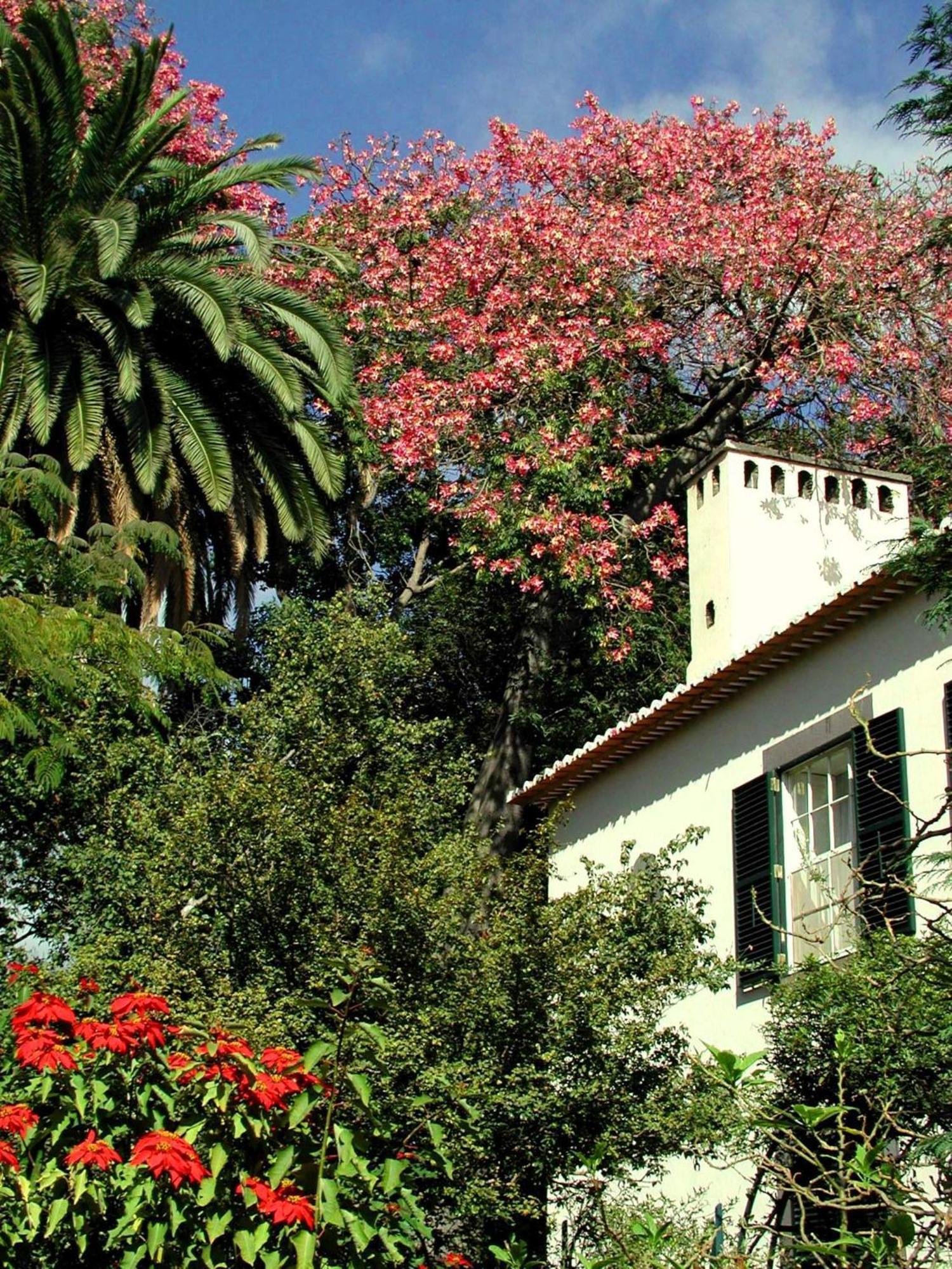 Quinta Da Bela Vista Hotel Funchal  Bagian luar foto